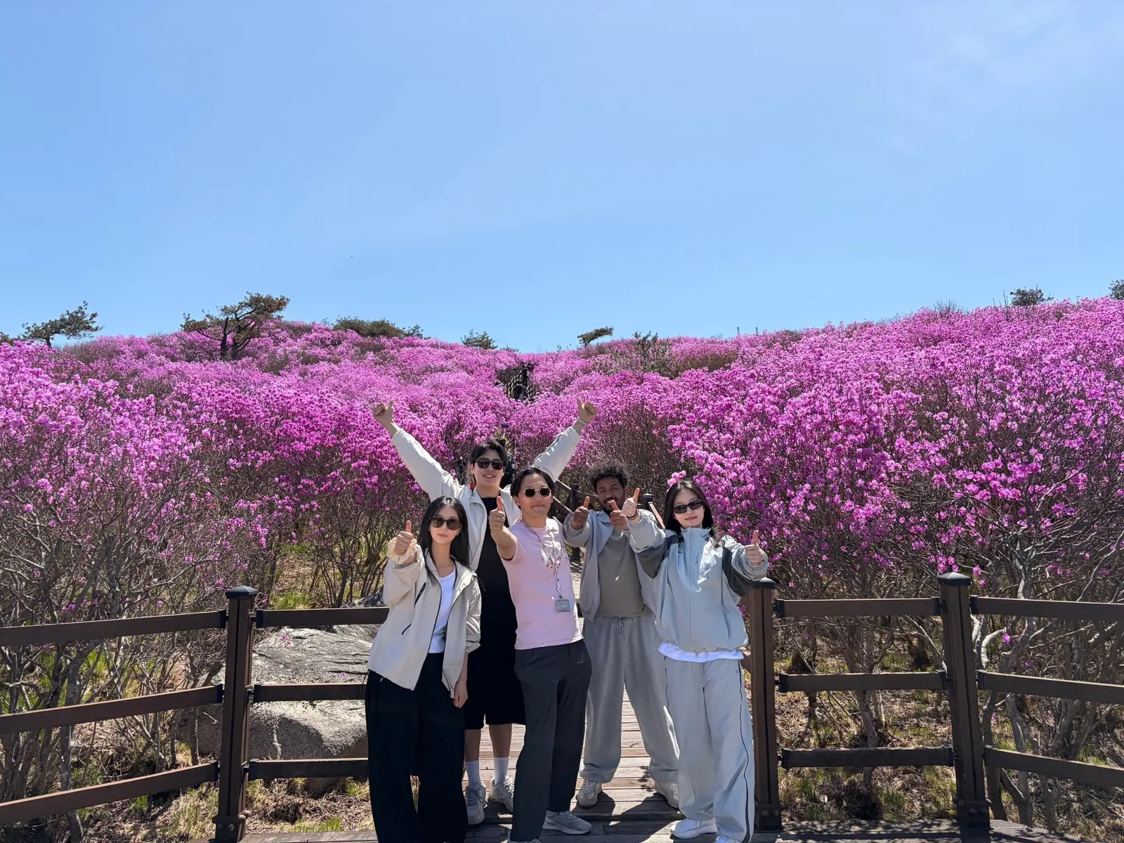 EMDP Lab members at the department mountain hiking event in April 2026